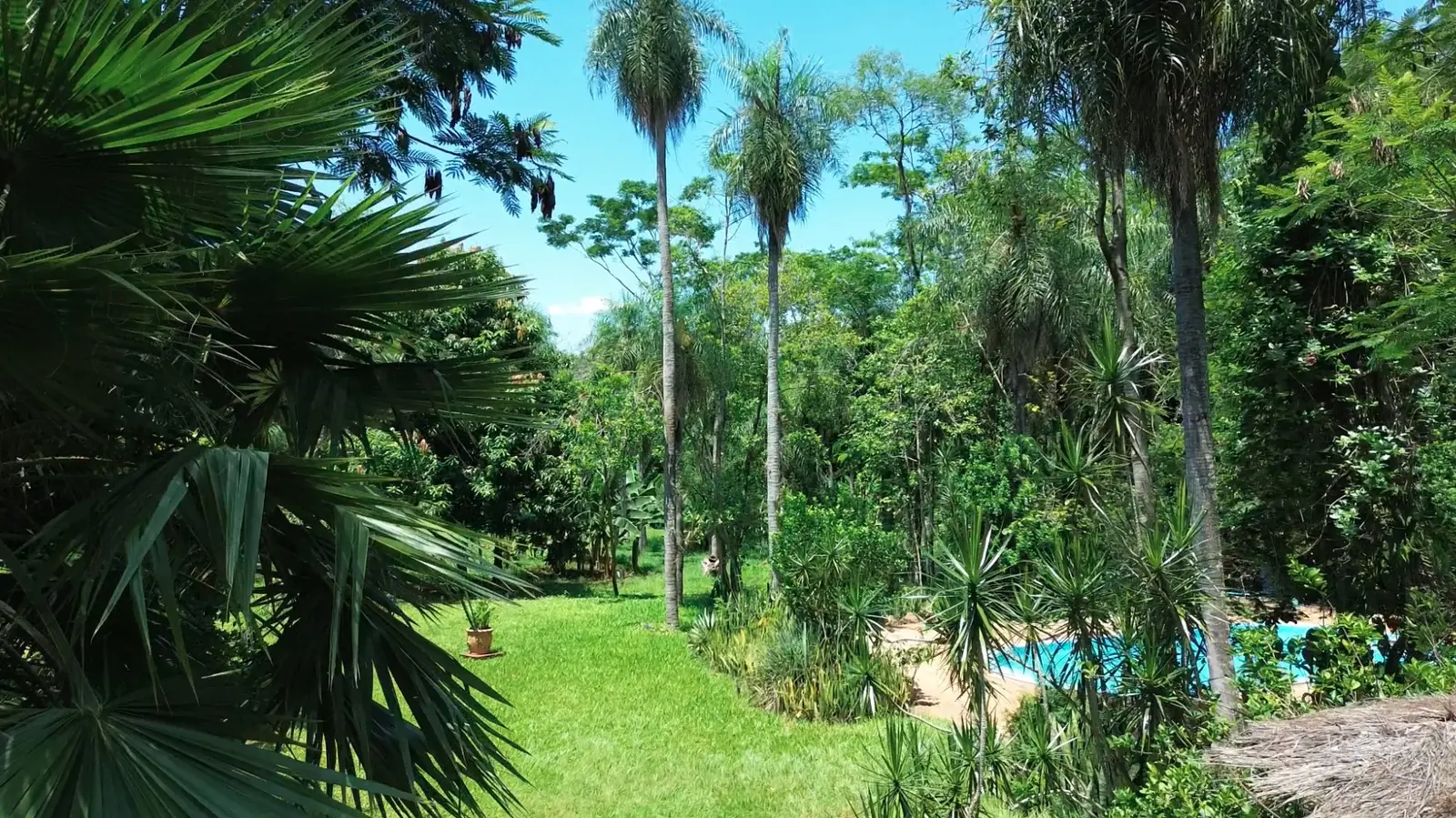 Vue aérienne du parc et de la piscine