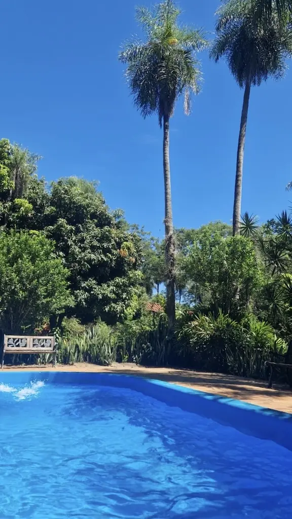 La piscine à bords arrondis sous les palmiers